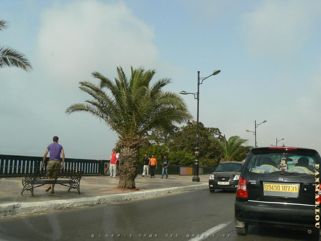 73 bd frond de mer .jpg
